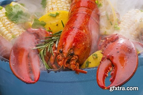 Collection lobster chela cancer boiled seafood 25 HQ Jpeg