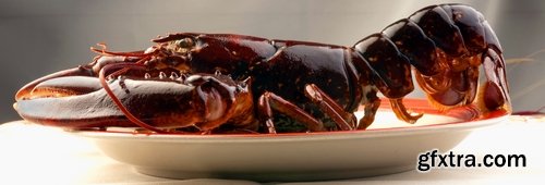 Collection lobster chela cancer boiled seafood 25 HQ Jpeg