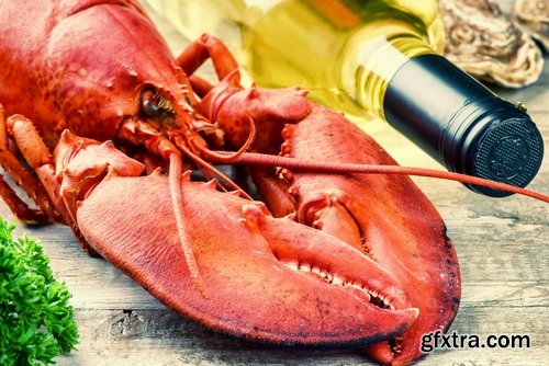 Collection lobster chela cancer boiled seafood 25 HQ Jpeg