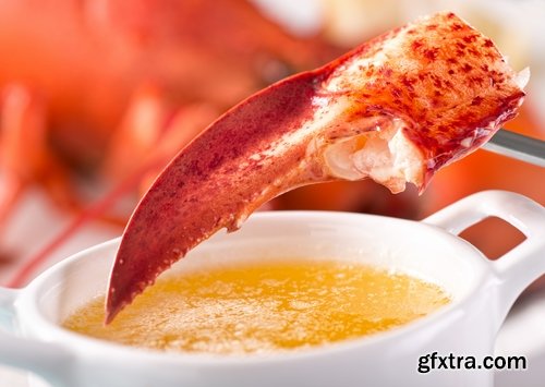 Collection lobster chela cancer boiled seafood 25 HQ Jpeg