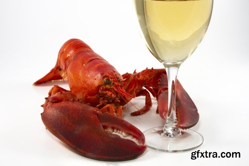 Collection lobster chela cancer boiled seafood 25 HQ Jpeg