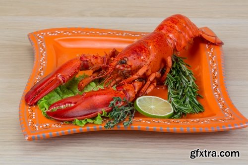 Collection lobster chela cancer boiled seafood 25 HQ Jpeg