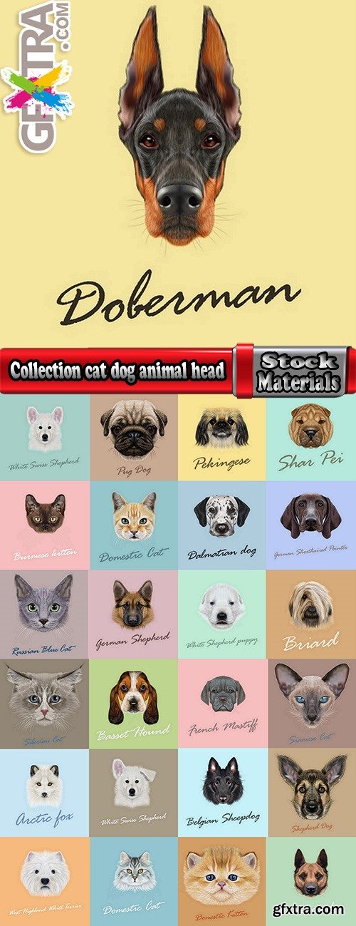 Collection cat dog animal head 25 EPS