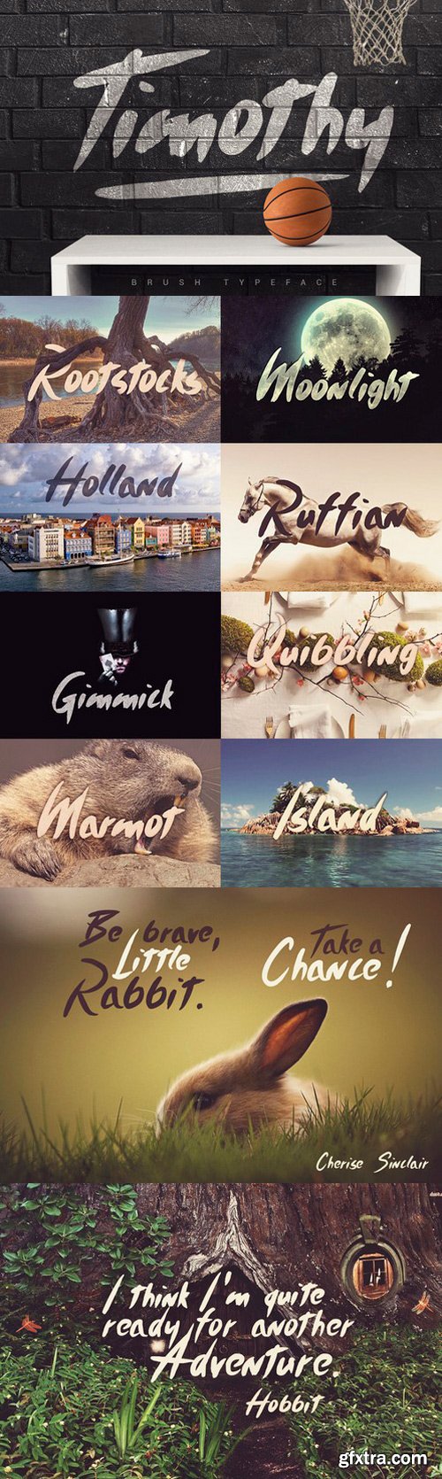 CM - Timothy Brush Typeface 872326