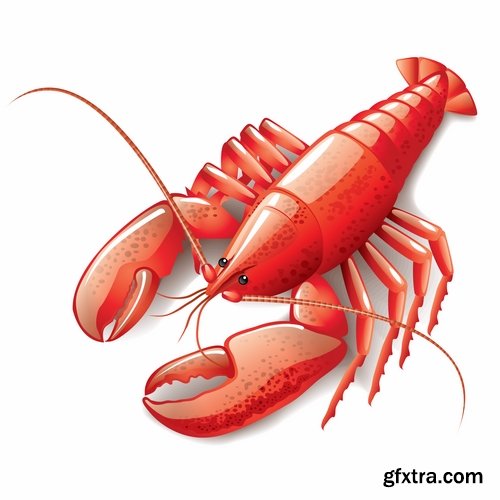 Collection lobster cancer crab seafood cartoon vector image 25 EPS