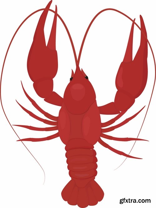 Collection lobster cancer crab seafood cartoon vector image 25 EPS