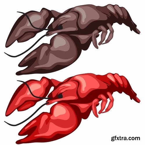 Collection lobster cancer crab seafood cartoon vector image 25 EPS