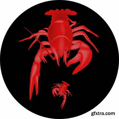 Collection lobster cancer crab seafood cartoon vector image 25 EPS