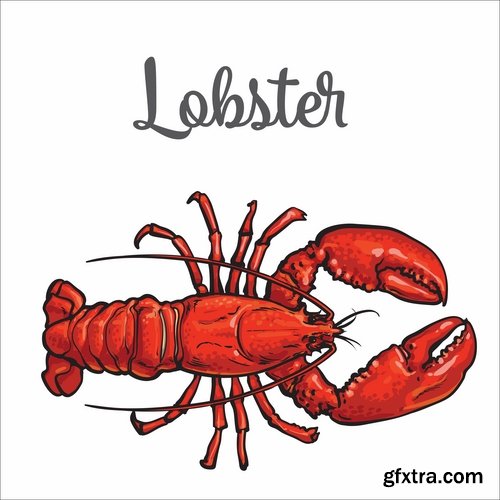 Collection lobster cancer crab seafood cartoon vector image 25 EPS