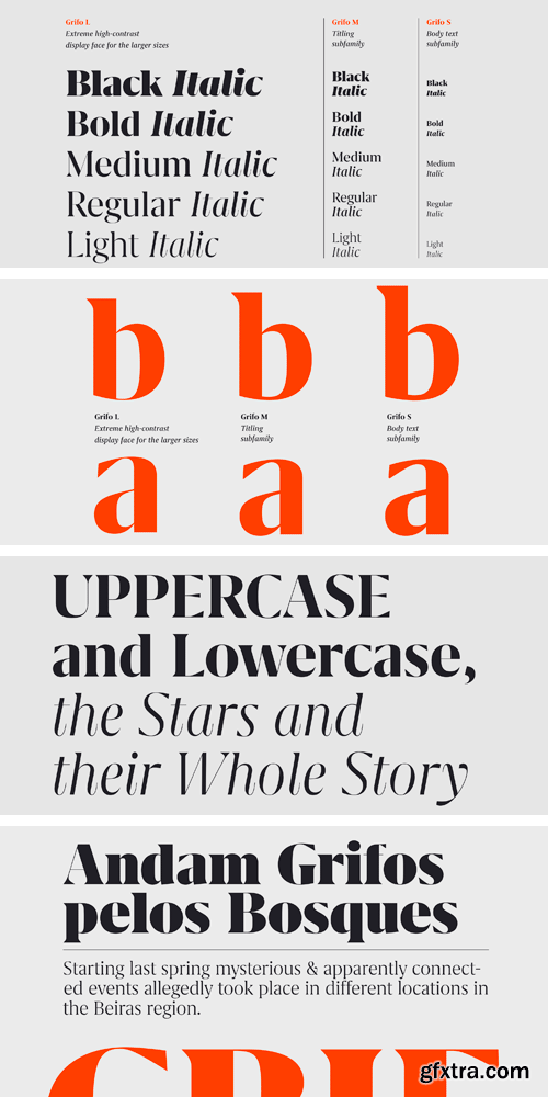 Grifo Font Family