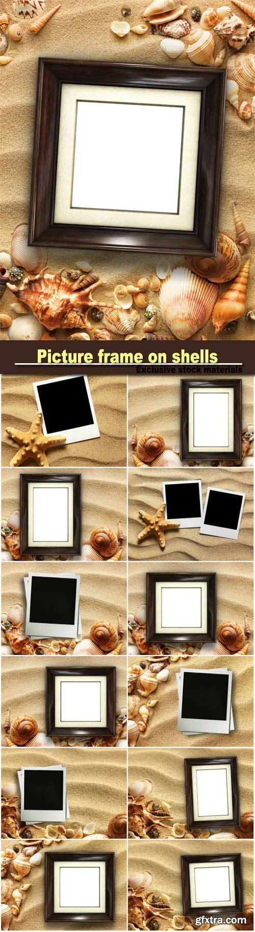 Picture frame on shells and sand background