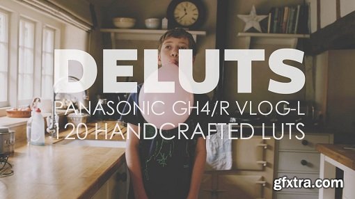 Deluts GH4/R VLOG-L (Win/Mac)