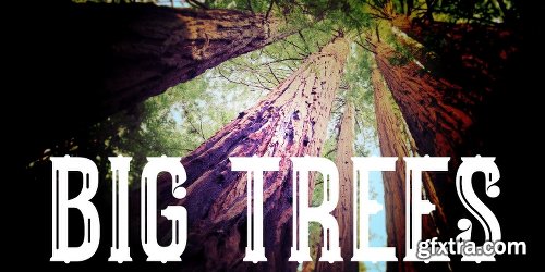 Big Trees Font - 2 Fonts