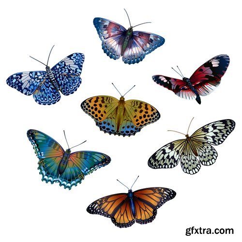 Beautiful Butterflies 2 - 20xEPS