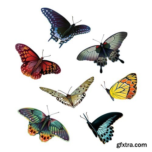 Beautiful Butterflies 2 - 20xEPS