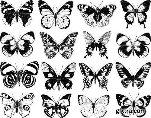 Beautiful Butterflies 2 - 20xEPS