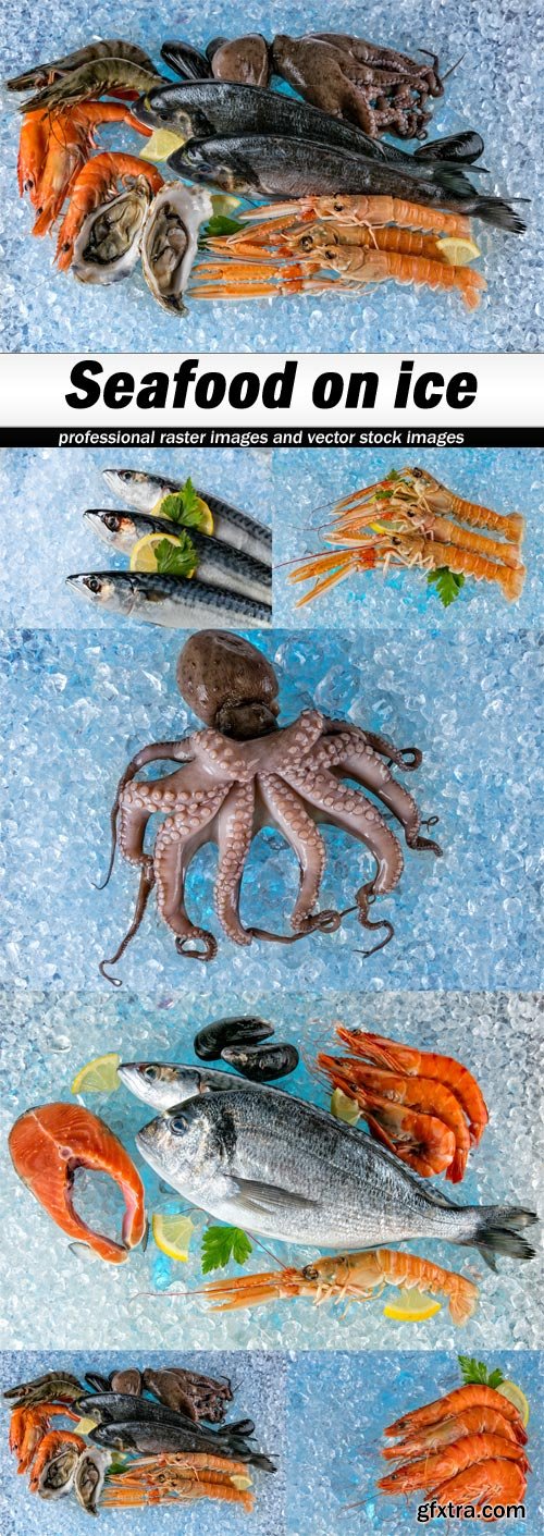 Seafood on ice - 6 UHQ JPEG