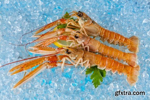 Seafood on ice - 6 UHQ JPEG