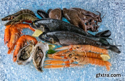 Seafood on ice - 6 UHQ JPEG