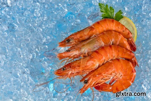 Seafood on ice - 6 UHQ JPEG