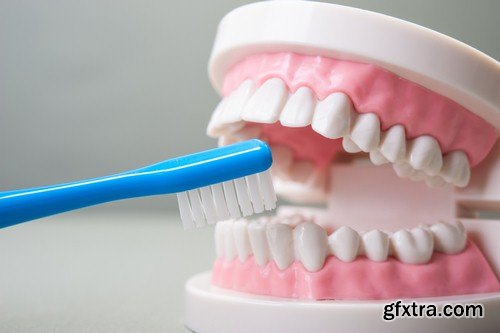 Dental casts - 6 UHQ JPEG