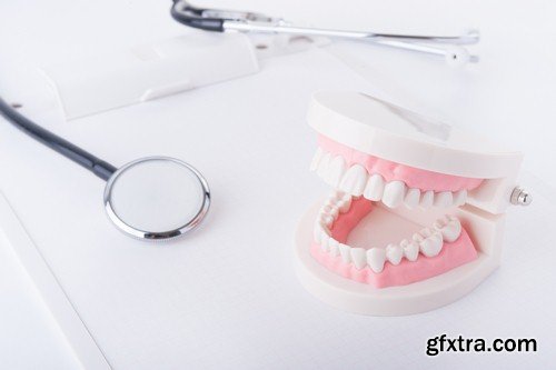 Dental casts - 6 UHQ JPEG