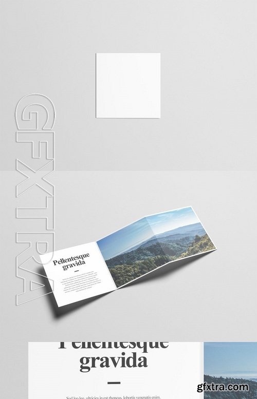 Square Z-Fold Brochure Mock-Up