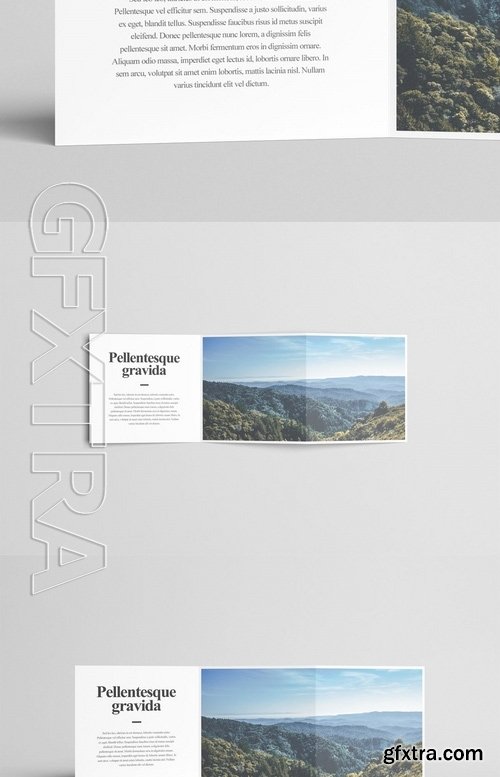 Square Z-Fold Brochure Mock-Up