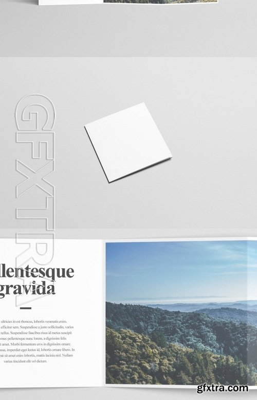 Square Z-Fold Brochure Mock-Up