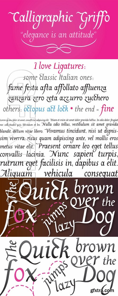 Calligraphic Griffo - 1 font: $25.90