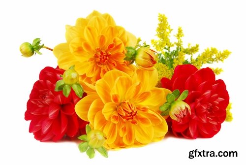 Collection of of autumn flowers bouquet of yellow 25 HQ Jpeg