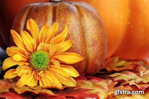 Collection of of autumn flowers bouquet of yellow 25 HQ Jpeg