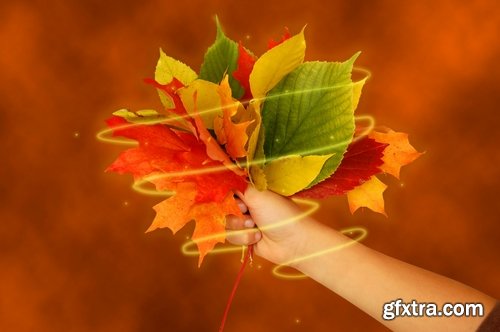 Collection of of autumn flowers bouquet of yellow 25 HQ Jpeg