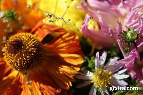 Collection of of autumn flowers bouquet of yellow 25 HQ Jpeg