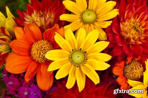 Collection of of autumn flowers bouquet of yellow 25 HQ Jpeg