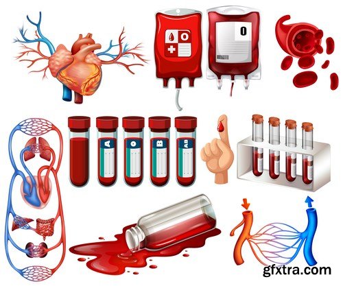 Structure and Human Organs 2 - 25xEPS