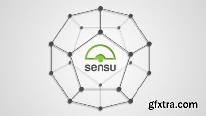 Sensu - Introduction