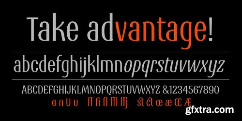 Vantage Font Family - 2 Fonts