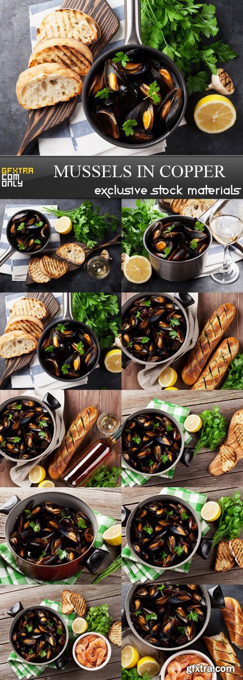 Mussels in Copper - 10 UHQ JPEG