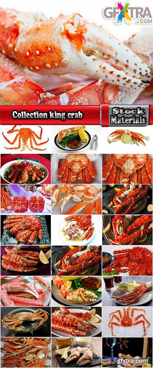 Collection king crab claw seafood delicacy 25 HQ Jpeg