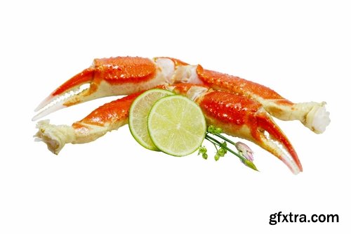 Collection king crab claw seafood delicacy 25 HQ Jpeg