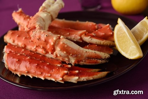 Collection king crab claw seafood delicacy 25 HQ Jpeg