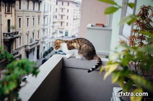 Collection balcony facade of penthouse interior apartment 25 HQ Jpeg