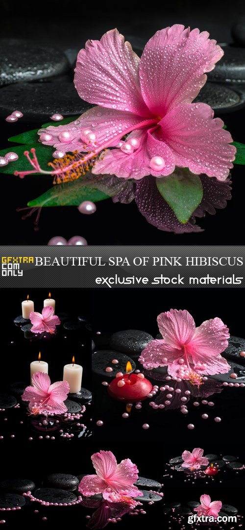 Beautiful Spa of Pink Hibiscus - 7 UHQ JPEG