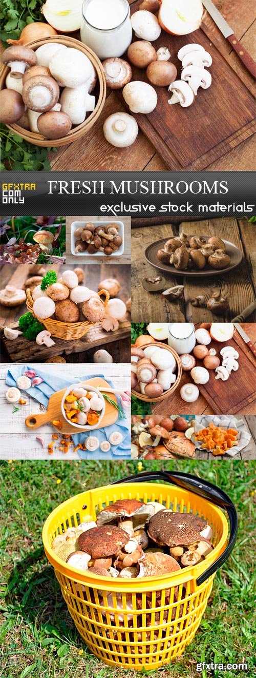 Fresh Mushrooms - 9 x JPEGs