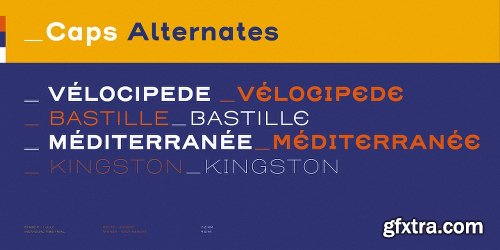 Henderson Sans Font Family - 28 Fonts