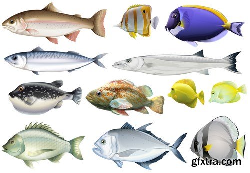 Seafood Vector Set - 15xEPS