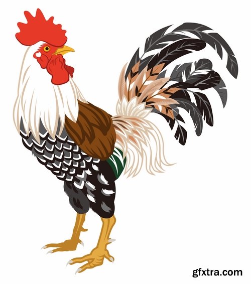 Collection chicken rooster logo 2017 vector image 25 EPS