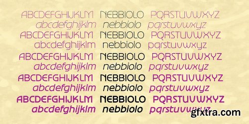 Nebbiolo Font Family - 10 Fonts