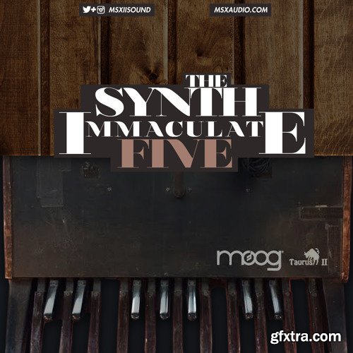 MSXII Sound The Synth Immaculate 5 WAV-FANTASTiC